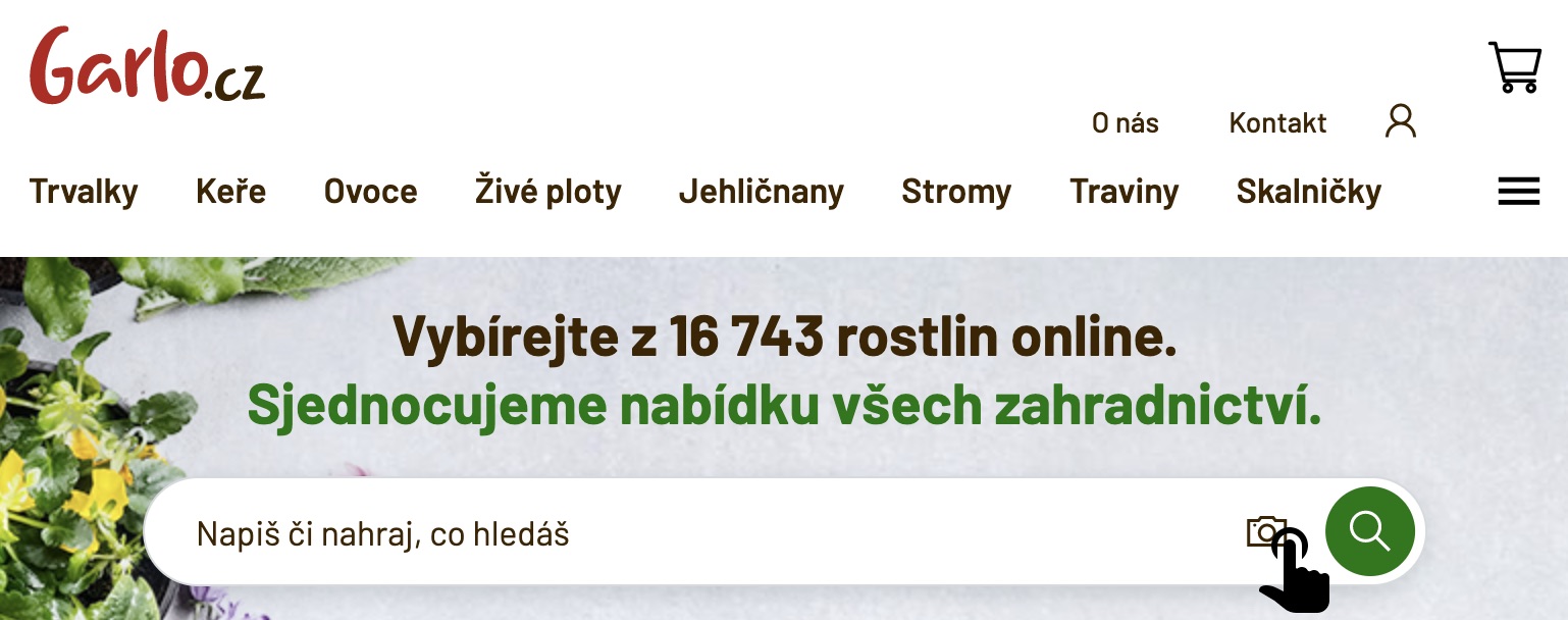 Aplikace na rozpoznavani rostlin online